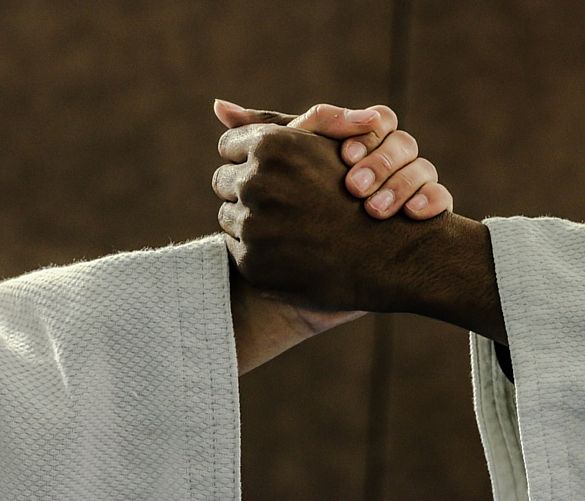 16112017 judo