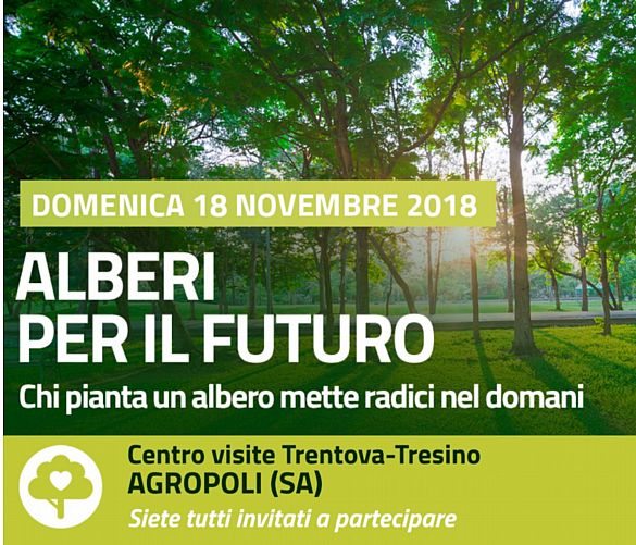 16112018 alberi per il futuro