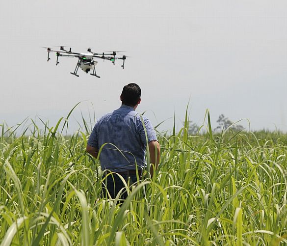 Giuseppe-Lembo foto - 16122017 agricoltura oggi