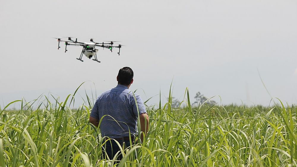 16122017 agricoltura oggi 16122017 agricoltura oggi