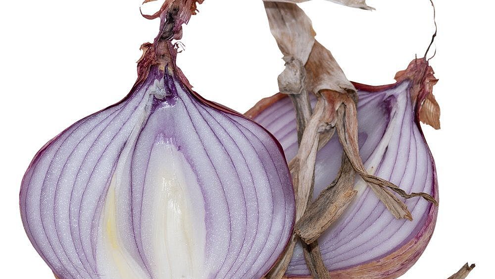 16122019 Foto cipolla tagliata