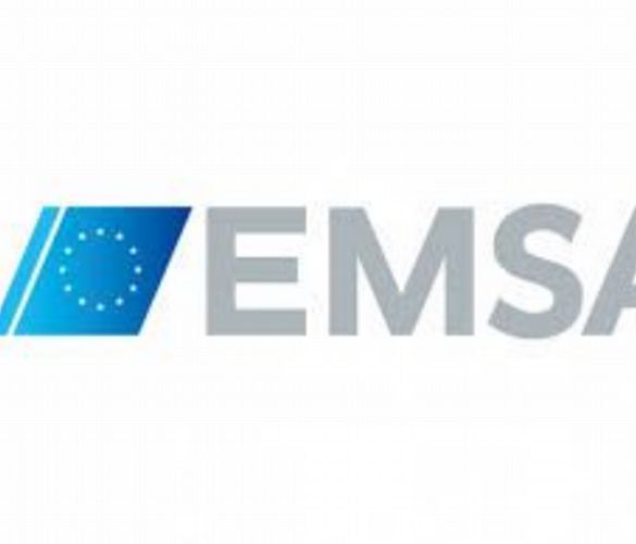 17012019 emsa logo