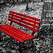 Cultura foto - 17012020 panchina rossa