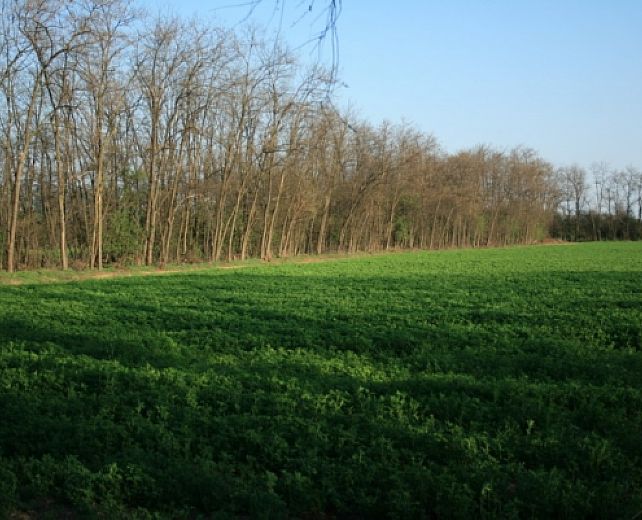 17022014 DISTRETTI Rurali