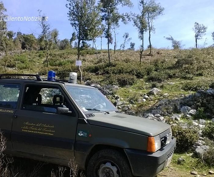 17022016 forestale nel bosco