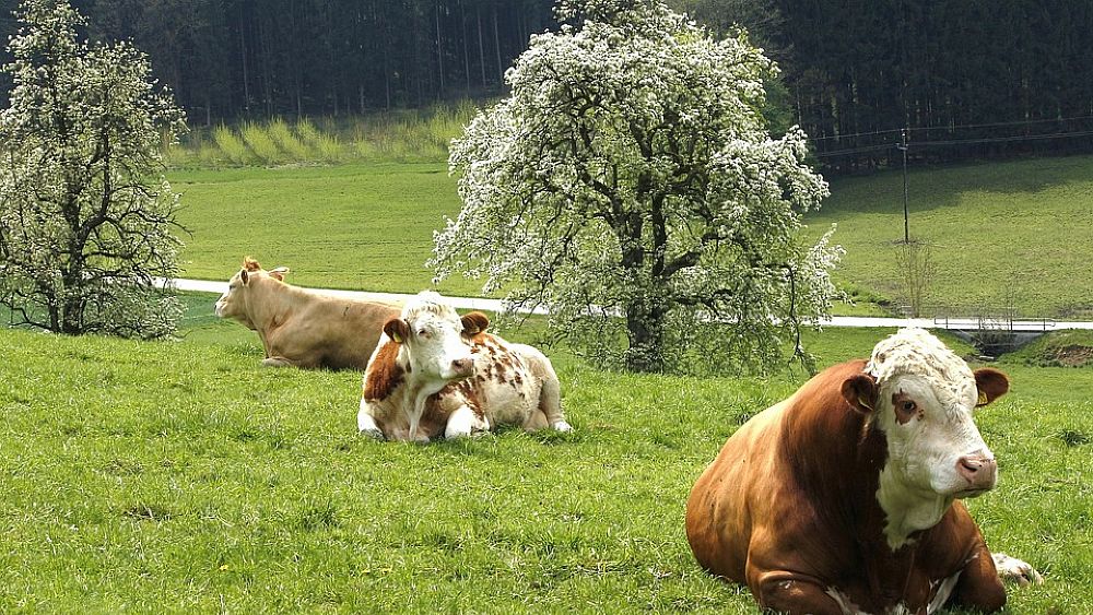 17022017 agroalimentare