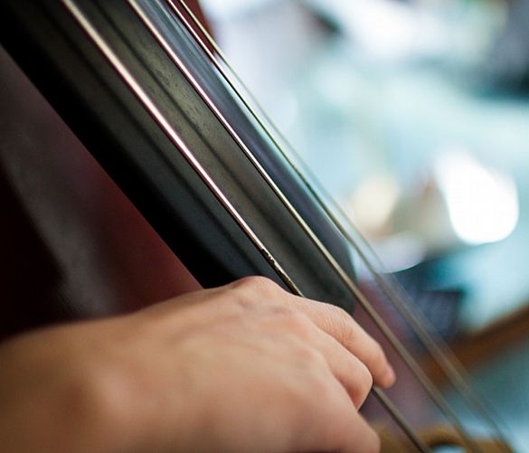 17022018 violoncello