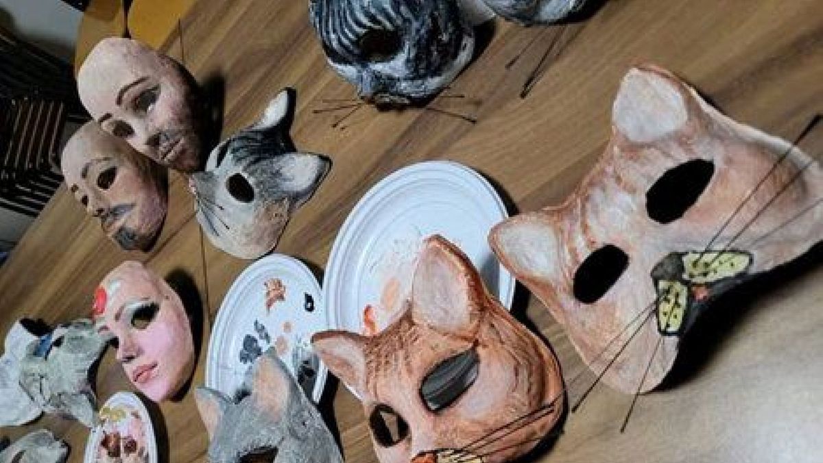 17022025 maschere dei gatti