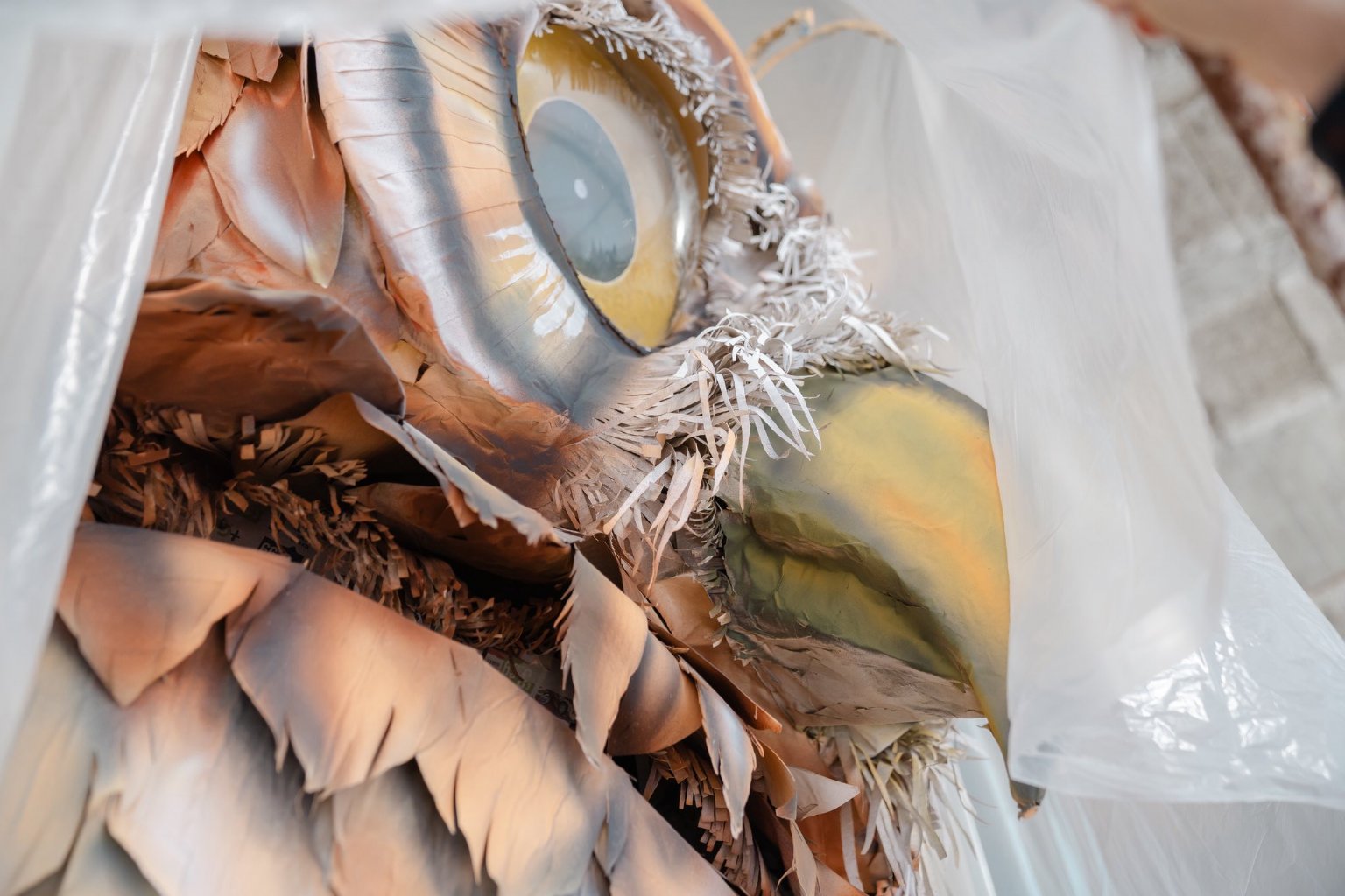 carnevale di maiori