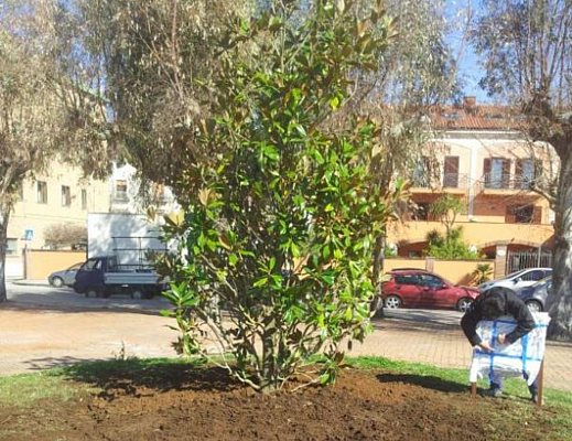 17032013 Sapri aree verdi cittadine