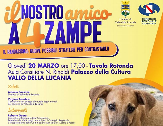 17032025  tavola rotonda sul randagismo