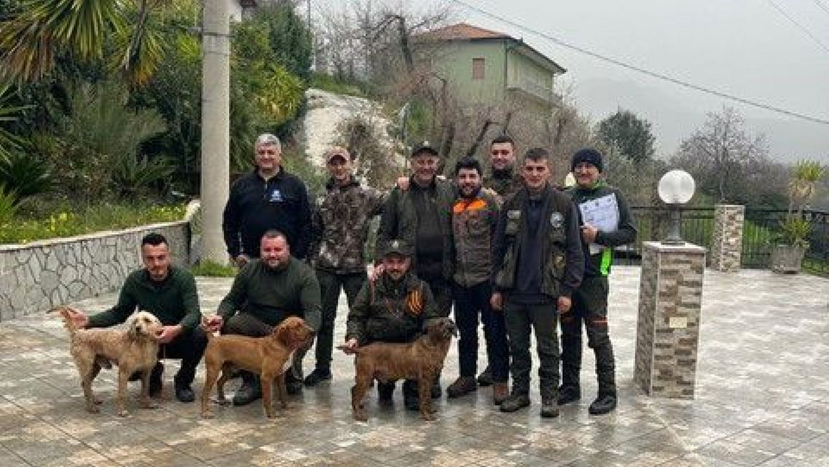 17032025 censimento peste suina africana 17032025 censimento peste suina africana