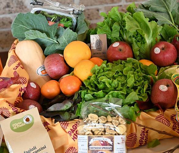 17032026 campagna amica cibo orto
