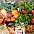 Salerno Notizie foto - 17032026 campagna amica cibo orto