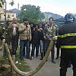 Cronaca foto - 17042014 pitone nocera inferiore