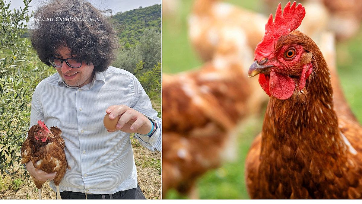 17042025 casa arpaia 17042025 casa arpaia