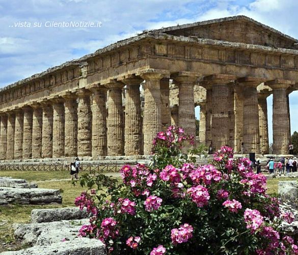 17052017 Tempio Paestum e fiori