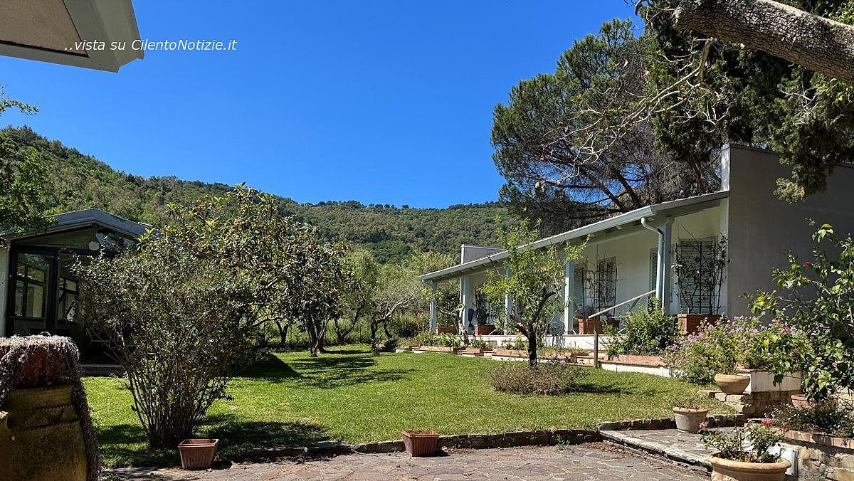 17052025 giacaranda 17052025 giacaranda