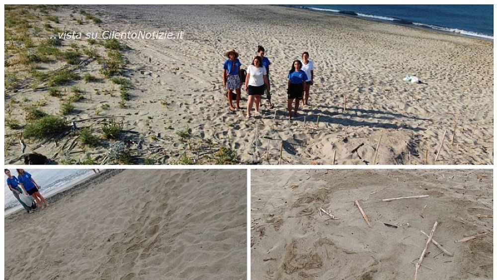 17062021 volontari nido caretta caretta ascea 17062021 volontari nido caretta caretta ascea