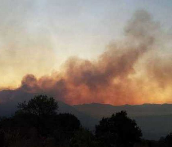 17072017 incendi cilento