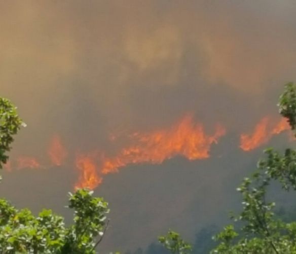 17072017 incendio torchiara
