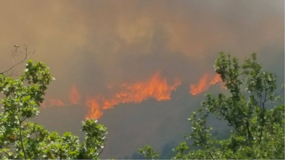 17072017 incendio torchiara