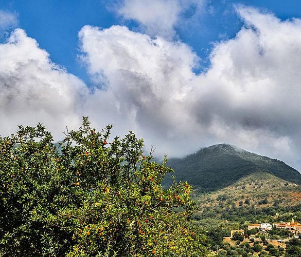 17072019 Stella Cilento Panorama