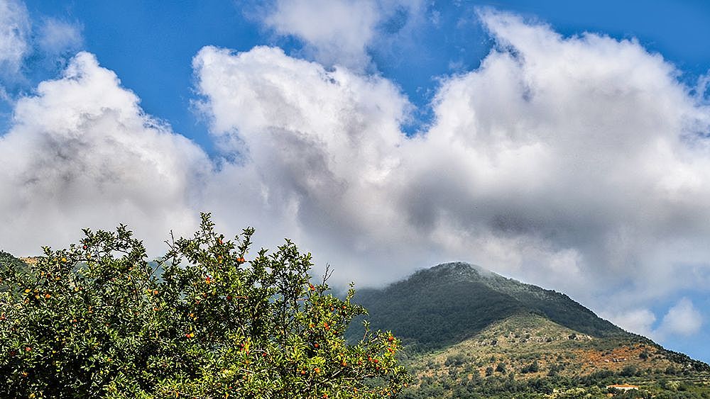 17072019 Stella Cilento Panorama