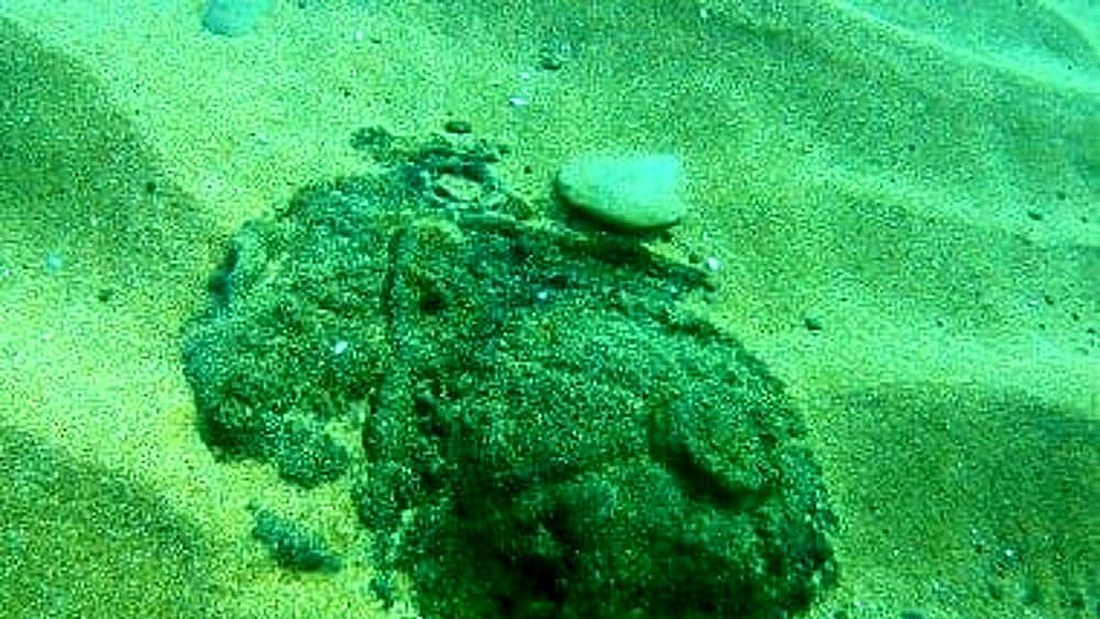 17072019 ordigno bellico castellabate