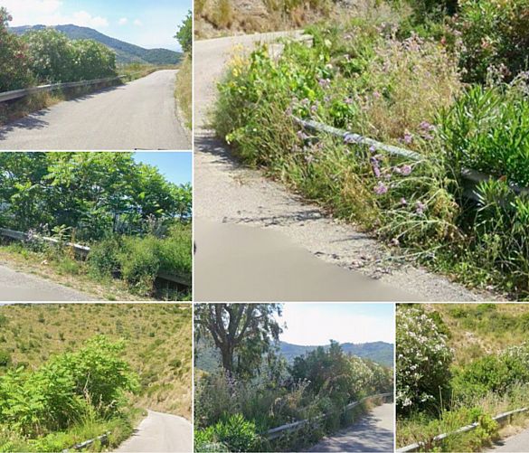 17082025 strade vegetazione