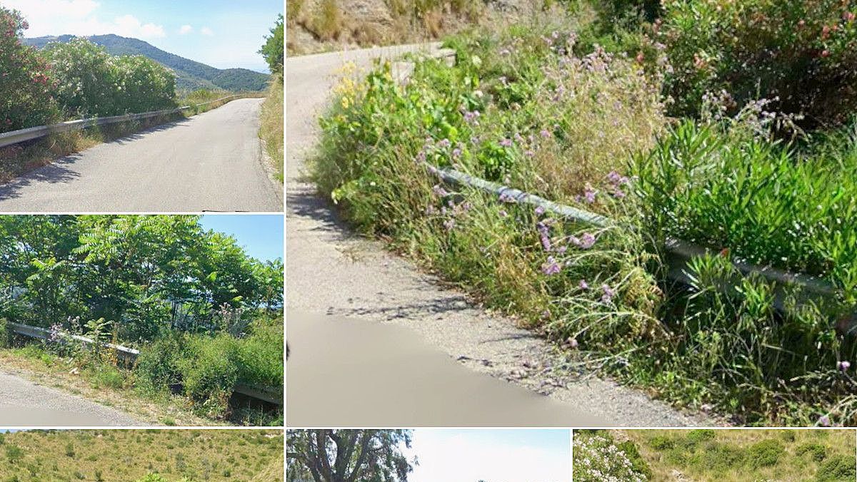 17082025 strade vegetazione 17082025 strade vegetazione
