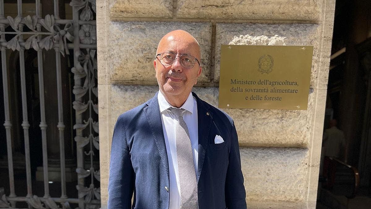 17092025 associazione italiana frantoi oleari