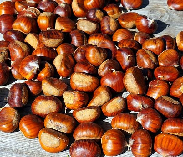 17102019 castagne
