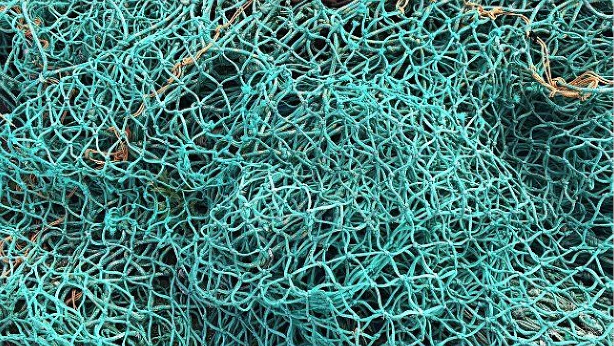 17102023 rete da pesca 17102023 rete da pesca