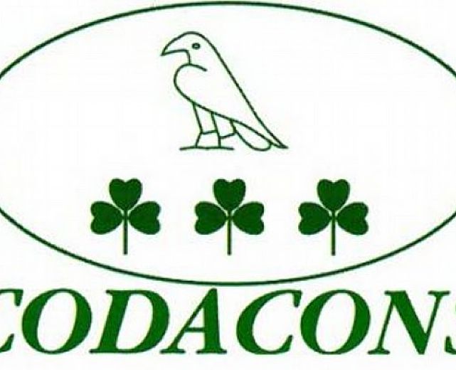 17112013 logo codacons