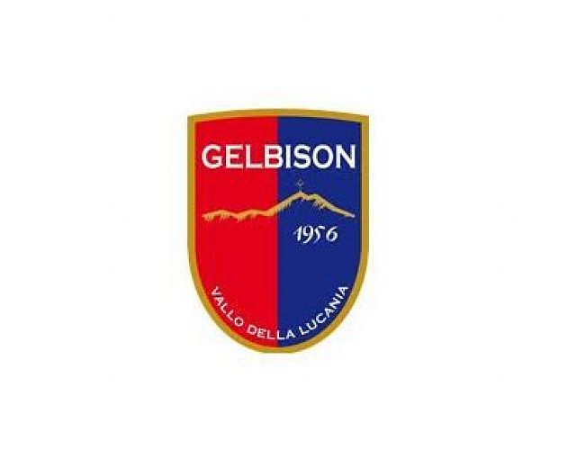 17112015 logo gelbison 17112015 logo gelbison