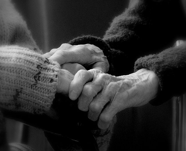 17122014 solidarieta 