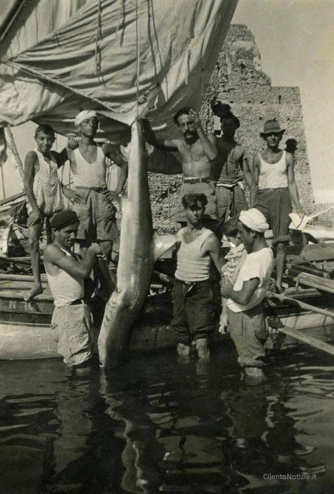 acciaroli pesca squalo foto storica