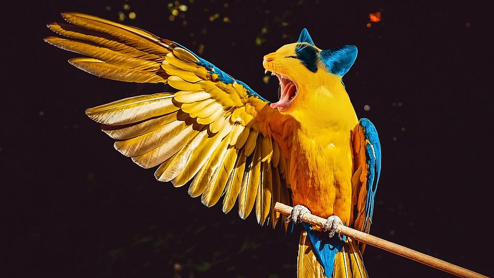 17122018 pappagallo mutazione genetica 17122018 pappagallo mutazione genetica