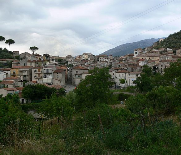 18012019 piaggine