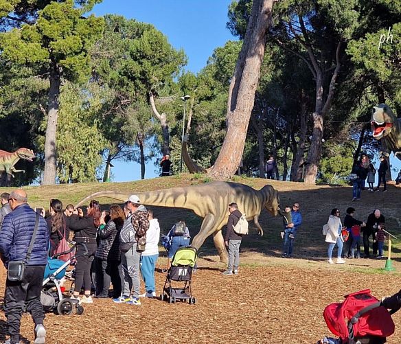 18012023 boom al dino park 2