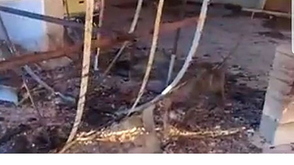 18022019 carro distrutto