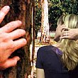 Cronaca foto - 18032013 Stalking1