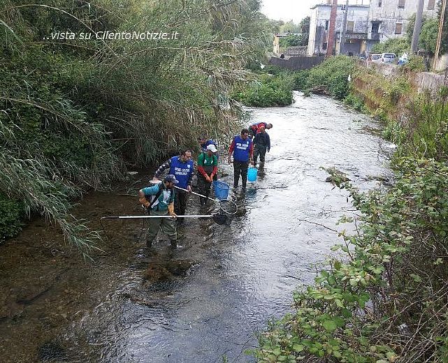 18042014 trote mediterranee irno