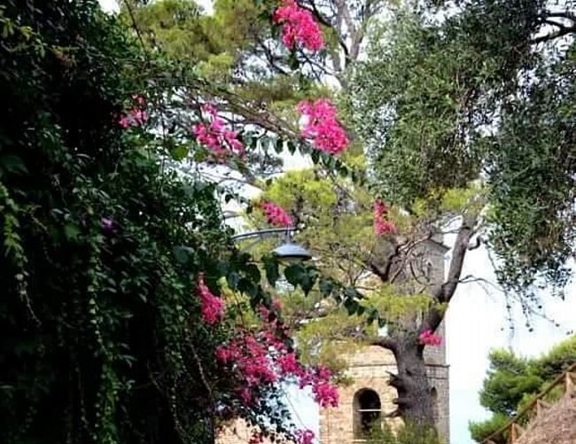 Marisa-Russo foto - 18042017 foto castellabate