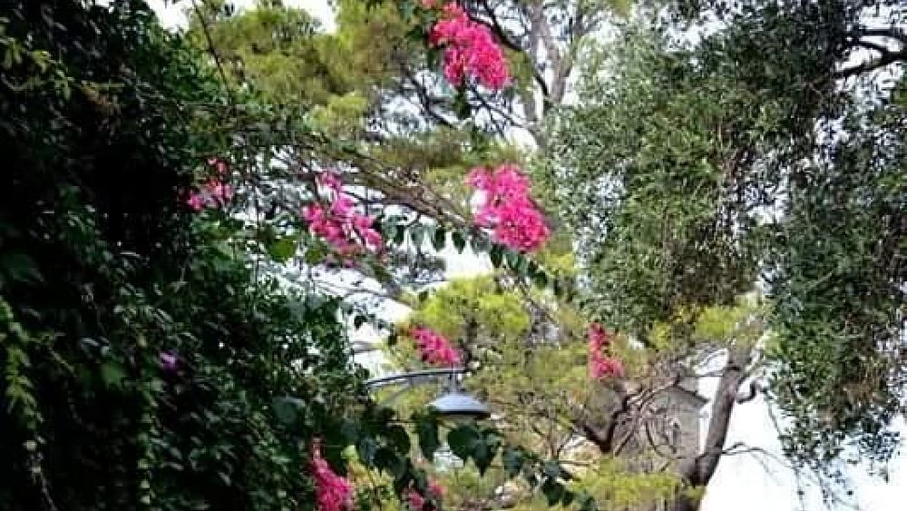 18042017 foto castellabate