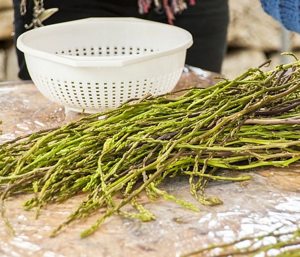 18042018 asparagi selvatici