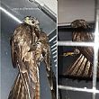 Cronaca foto - 18052016 uccello poiana