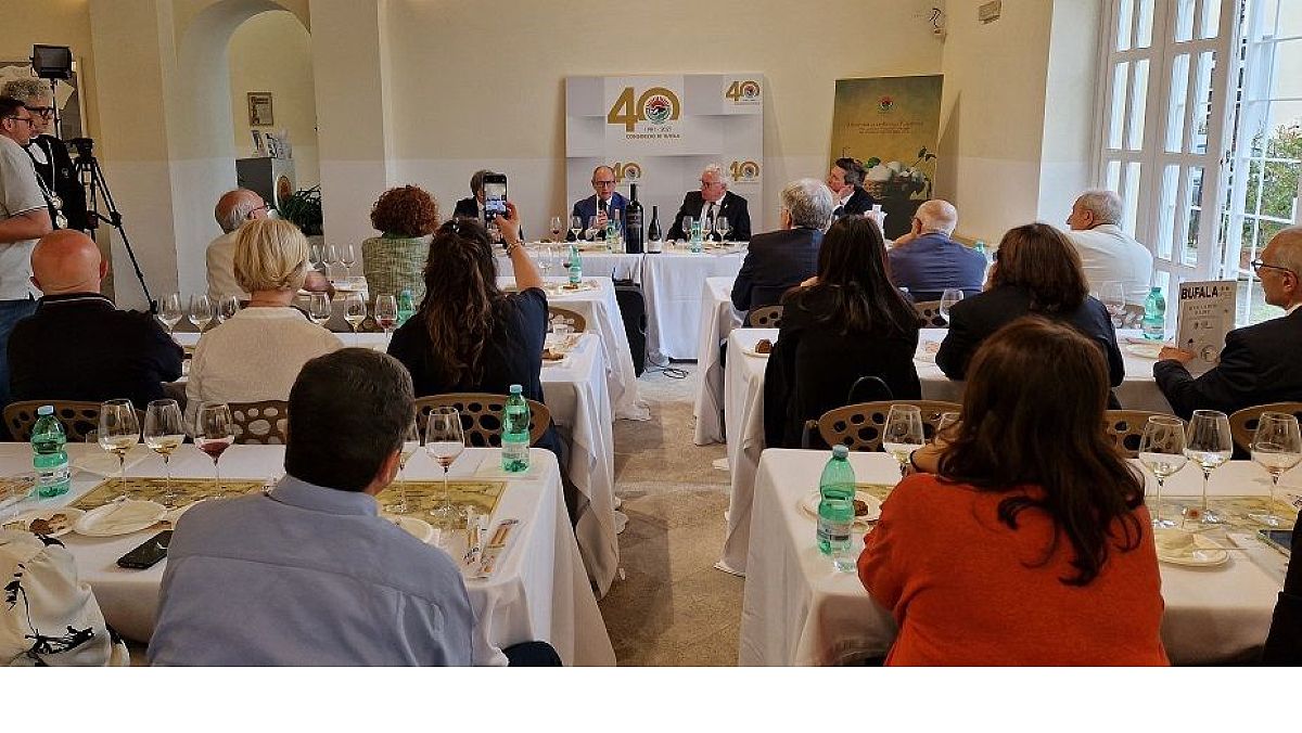 18052024 vini bufala 1