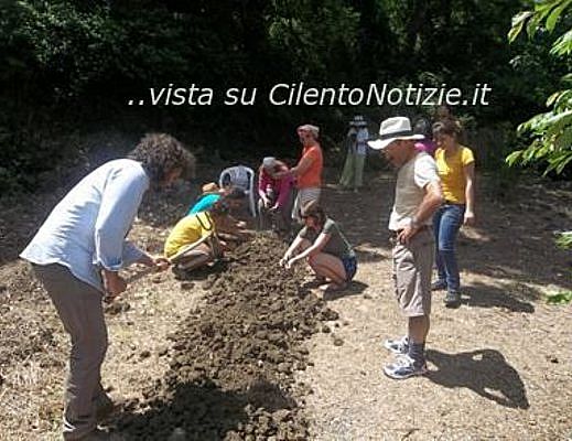 Paolo-Abbate foto - 18072013 orto condiviso sapri